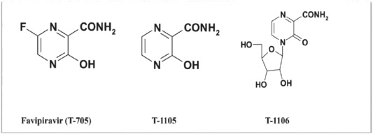 Favipiravir türevleri. Çeşitlilik artarak etkileri denenmiştir.