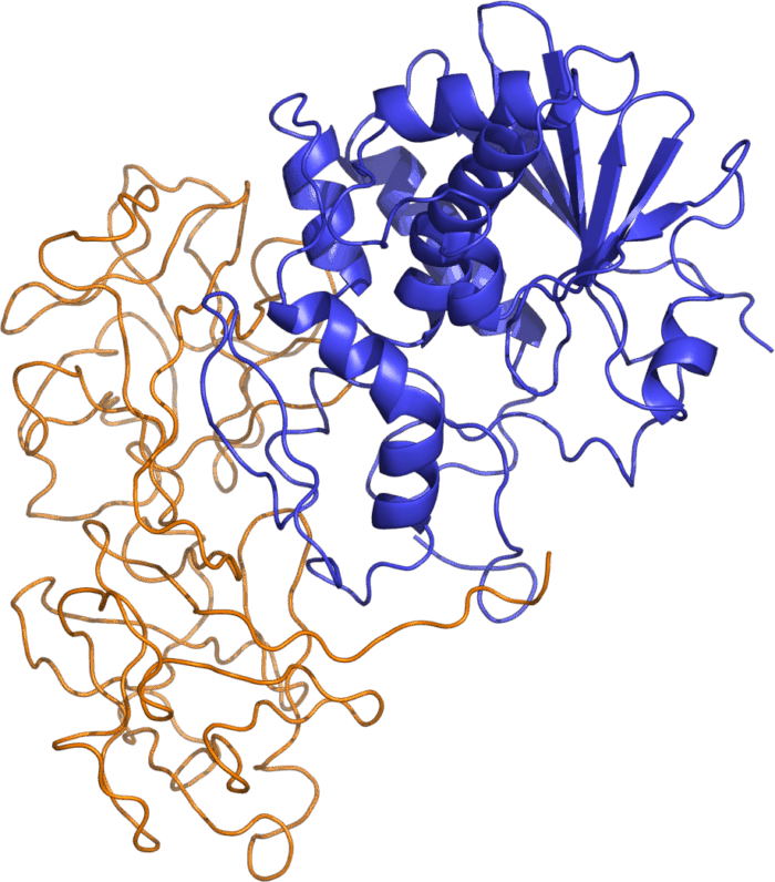 hGH, yani İnsan Büyüme Hormonu Nedir? – Protein Simülasyonları ve 3D ...