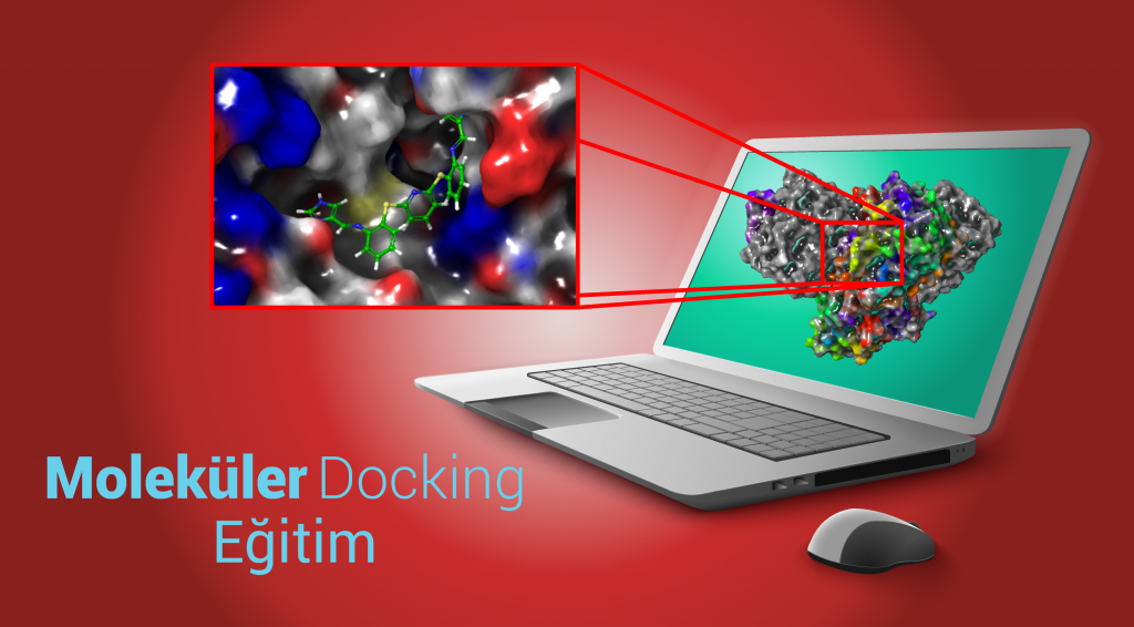 Giriş Seviye Moleküler Docking Eğitim Paylaşımlarına Başladığım Bu İlk Yazıda Neler Yapacağımızı Anlattım