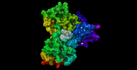 Glutatyon Redüktaz Enzim Aktivitesi – Protein Simülasyonları ve 3D ...