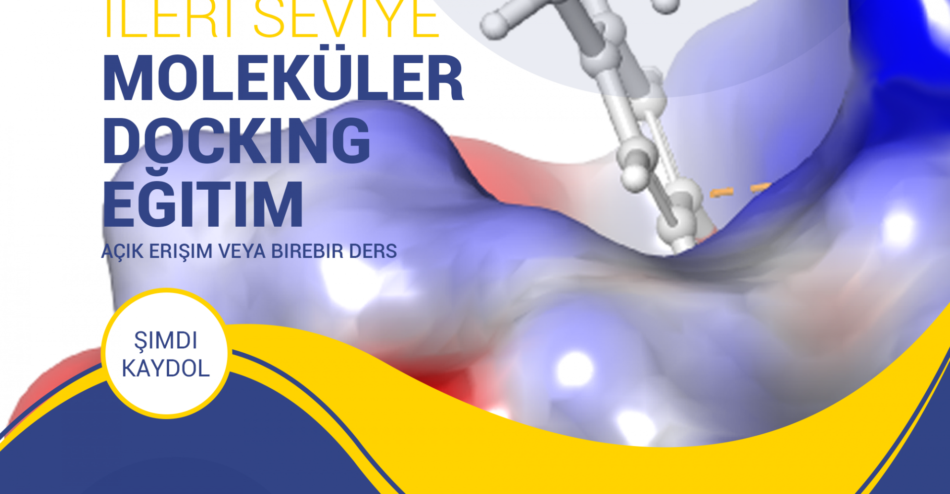 moleküler docking öğren