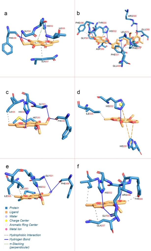 antimikrobiyal hedefi için bağlama bölgesi ile etkileşimlerinin üç boyutlu modeli protein − ligand etkileşimleri