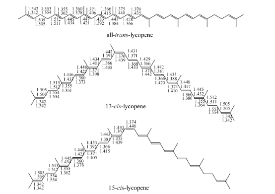 likopen molekülünn konformasyonları