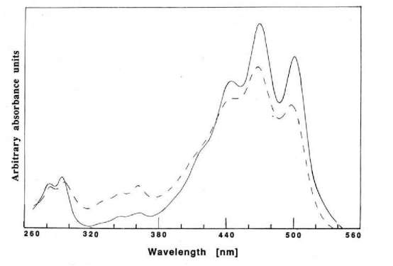 likopen molekülünün görünür bölge spektroskopisi