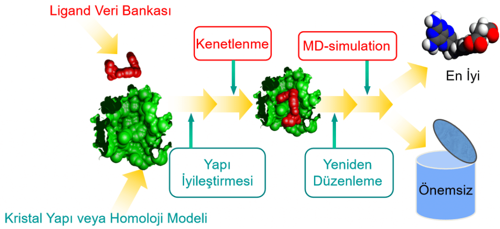 Moleküler dinamik çalışmalarının kullanım alanlarından biri