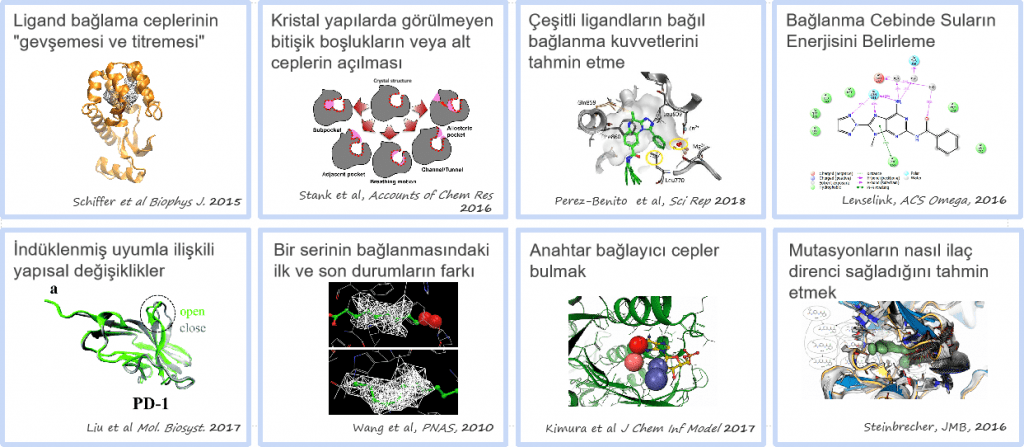 Moleküler Dinamiğin Farklı Kullanım Alanları