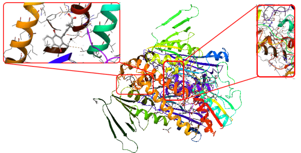 Yanaştırma işlemi için kullanılan GR enzimin görnütüsü