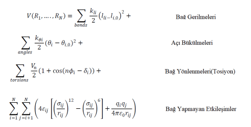 Moleküler Dinamik Simülasyonları için kuvvet alanları