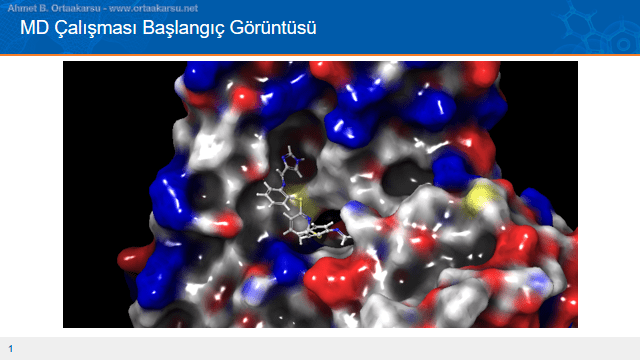 Antimalaryal ilaç adayı protein etkileşimi başlangıç görüntüsü