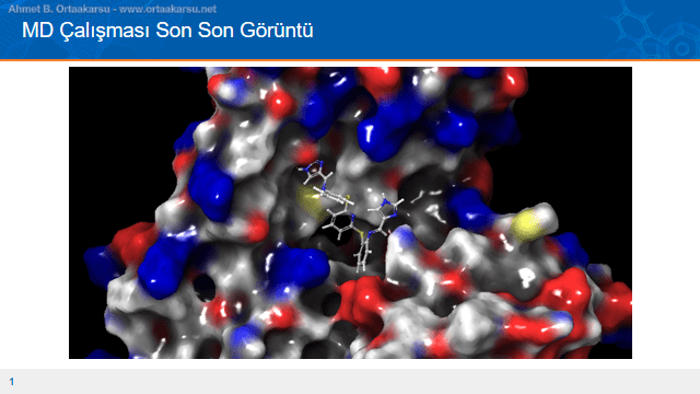 Antimalaryal ilaç adayı protein etkileşimi bitiş görüntüsüa