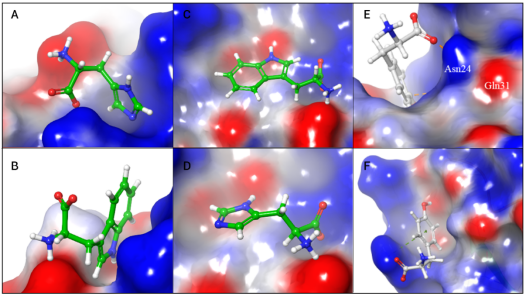 protein-ligand docking görsel