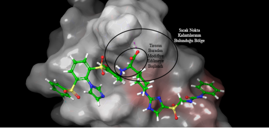 protein-protein docking ile elde edilen bilgilerden tasarlanan ligand