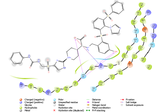 protein-protein docking ile elde edilen bilgilerden tasarlanan ligand 2D etkileşim görüntüsü