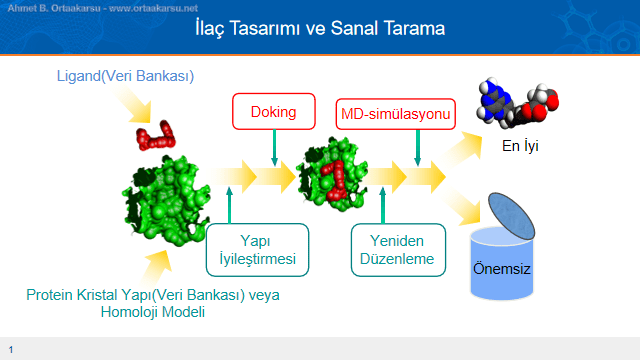 Antimalaryal ilaç keşif çalışmalarında moleküler docking ve moleküler dinamik çalışmalrı