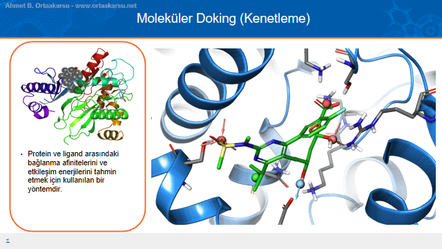 Antimalaryal ilaç keşfinde moleküler docking