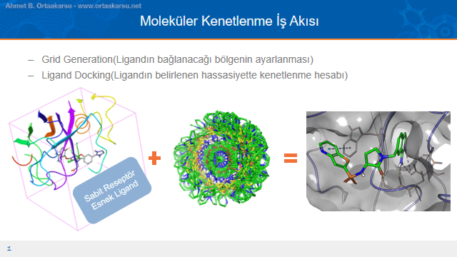 Moleküler kenetlenme iş akışı