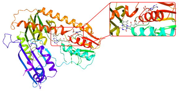 bir glutatyon redüktaz enziminin yapısı