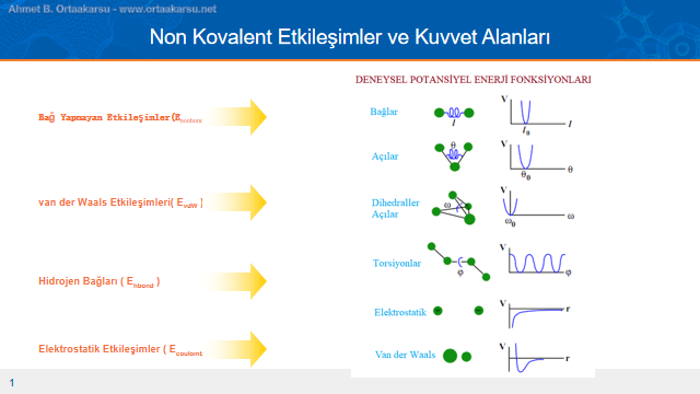 Moleküler dinamik çalışmalarında kullanılan kuvvet alanların hesaba kattığı etkileşim türleriv