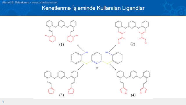 Antimalaryal aktivite gösteren schiff bazları