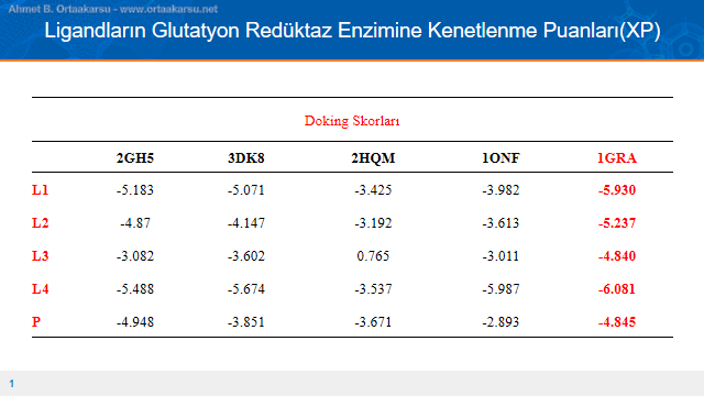 Antimalaryal aktivite için moleküler docking sonuçları