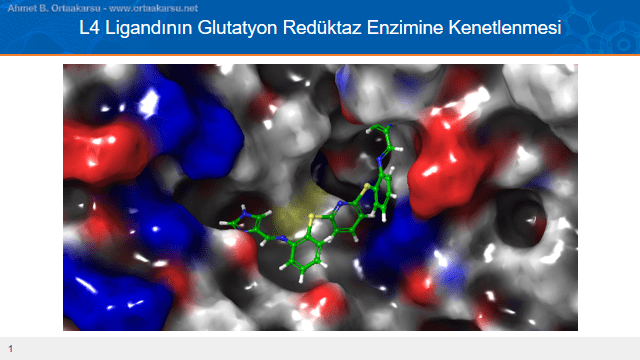 Antimalaryal ilaç tasarımında L4 ligandı