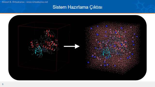 Antimalaryal ilaç tasarımında moleküler dinamik çalışmalarına hazırlık.