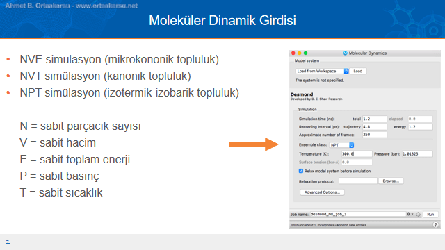 Antimalaryal aktivite moleküler dinamik girdisi