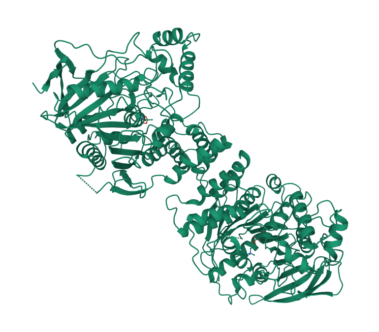 Asetilkolinesteraz enziminin görüntüsü