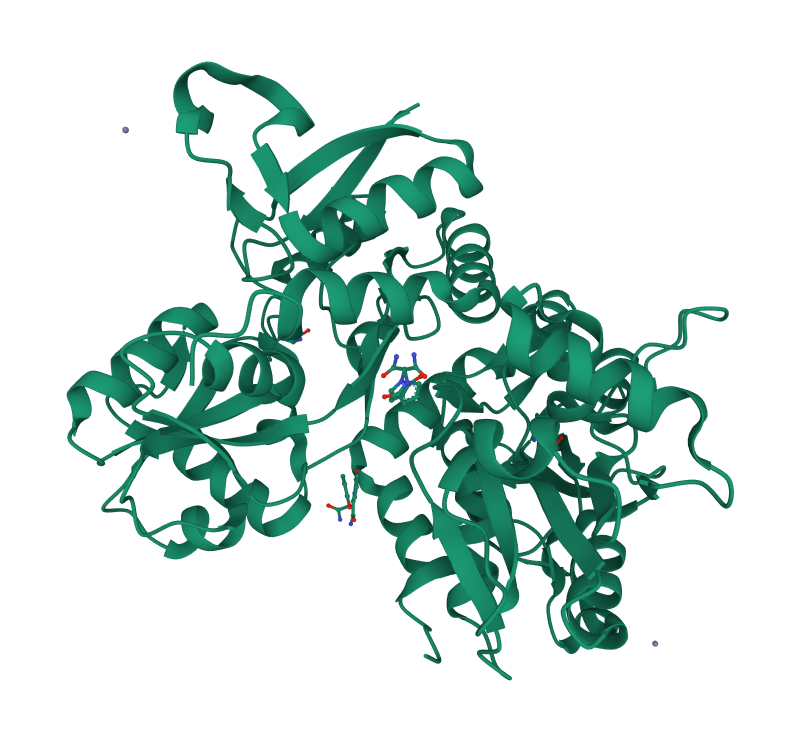 Piracetam yani Nootropil ile kompleks halinde bir protein yapı. Nootropil 800 mg için örnek