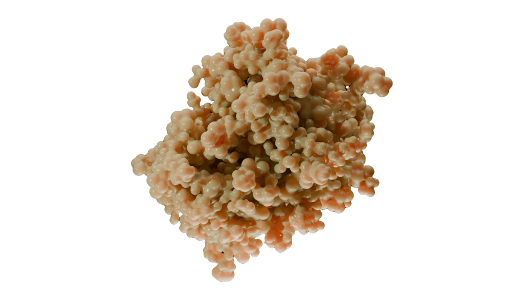 only_protein4