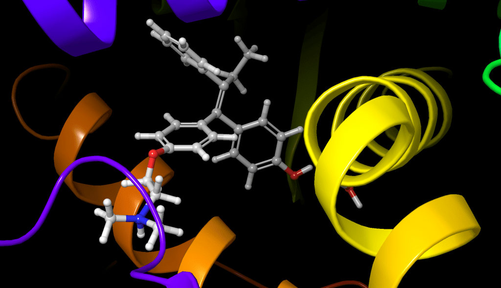 Tamoksifen molekülü reseptörün içerisinde farklı etkileşimler yapmakta.