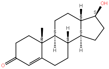 Testosteron Molekülü